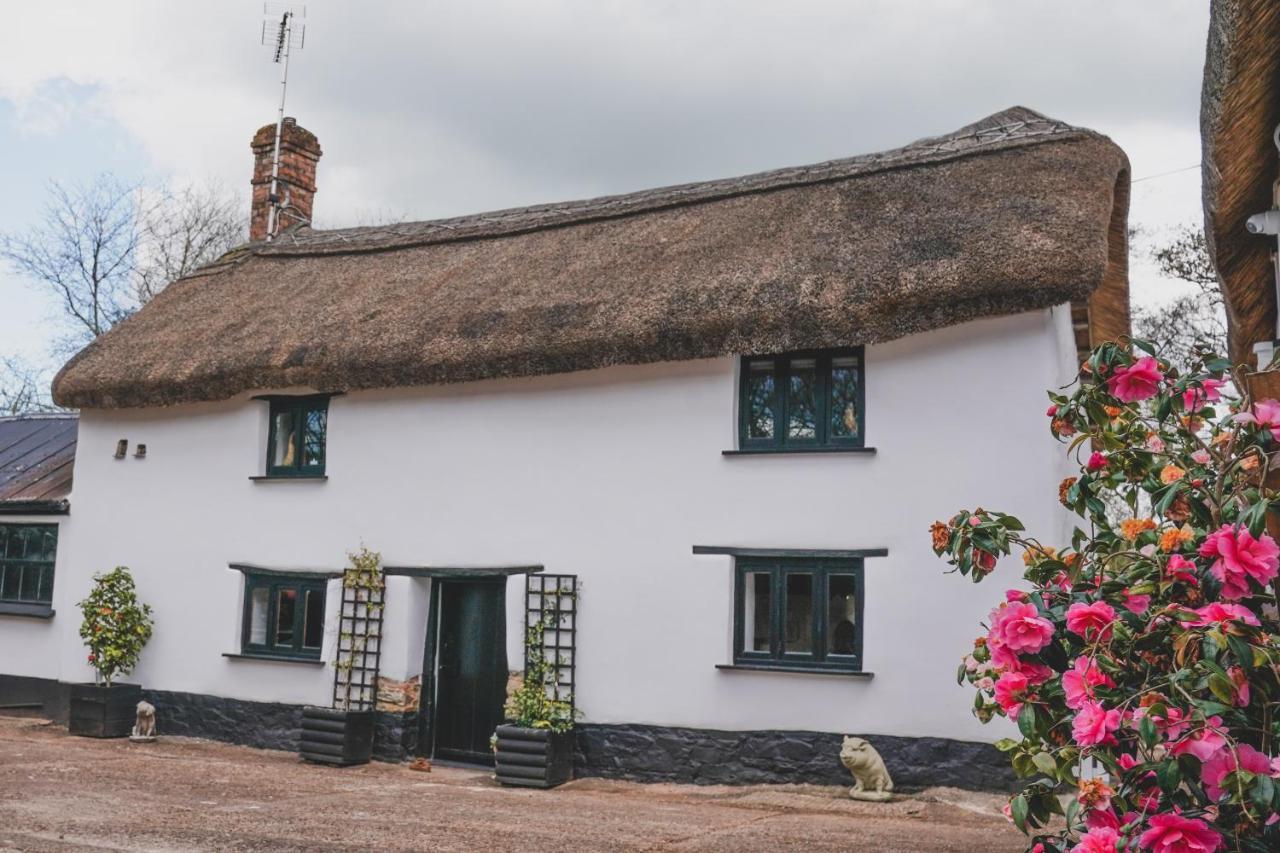 'The Cottage' Okehampton Exterior foto